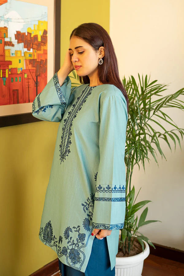 Unstitched 2 Piece Embroidered Dhanak Fabric
